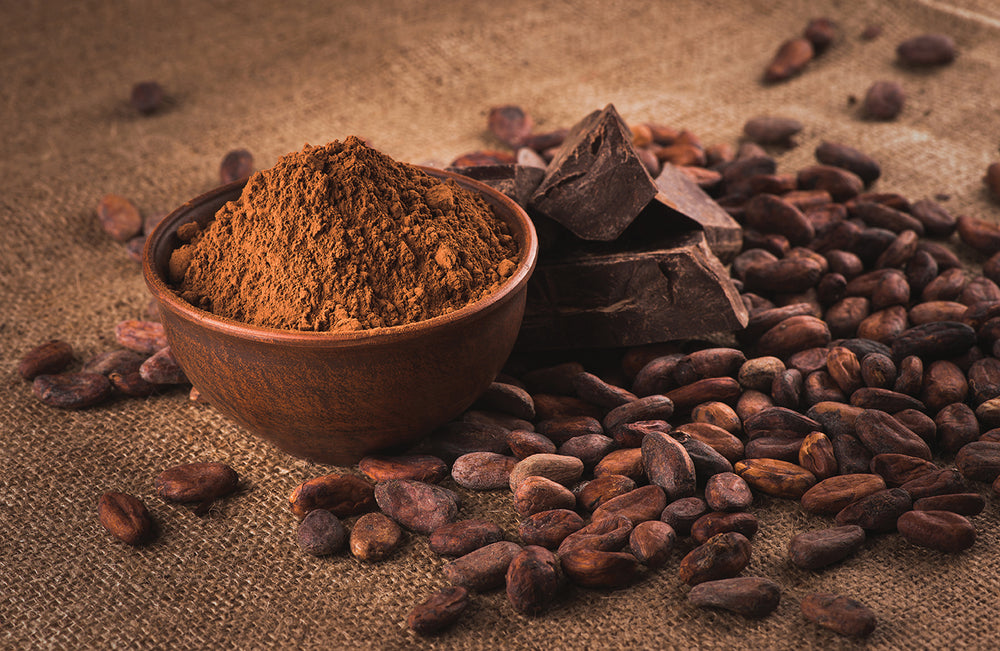 Les bénéfices nutritionnels du cacao