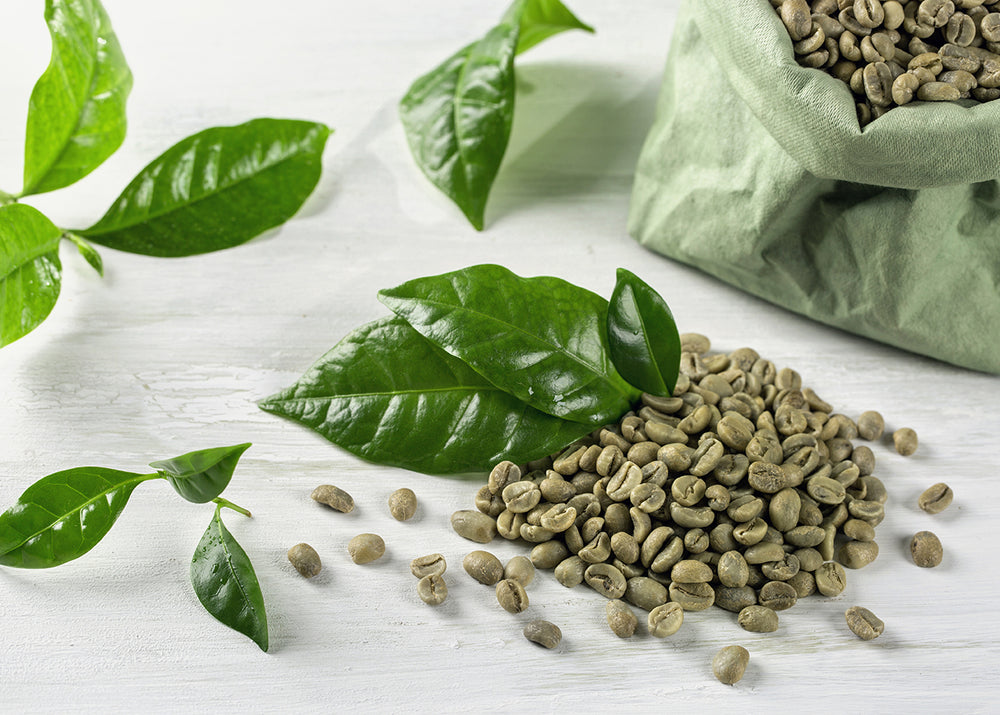 L’extrait de café vert : un allié santé